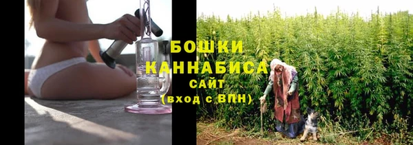 PSILOCYBIN Абдулино