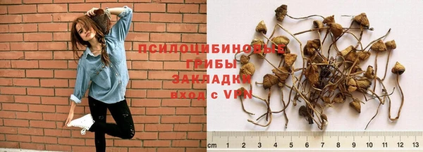 PSILOCYBIN Абдулино