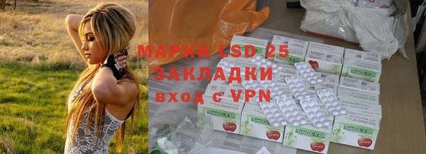 PSILOCYBIN Абдулино
