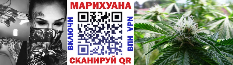 где можно купить   Мещовск  Канабис планчик 
